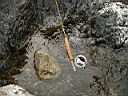 2007-03-31 018.JPG